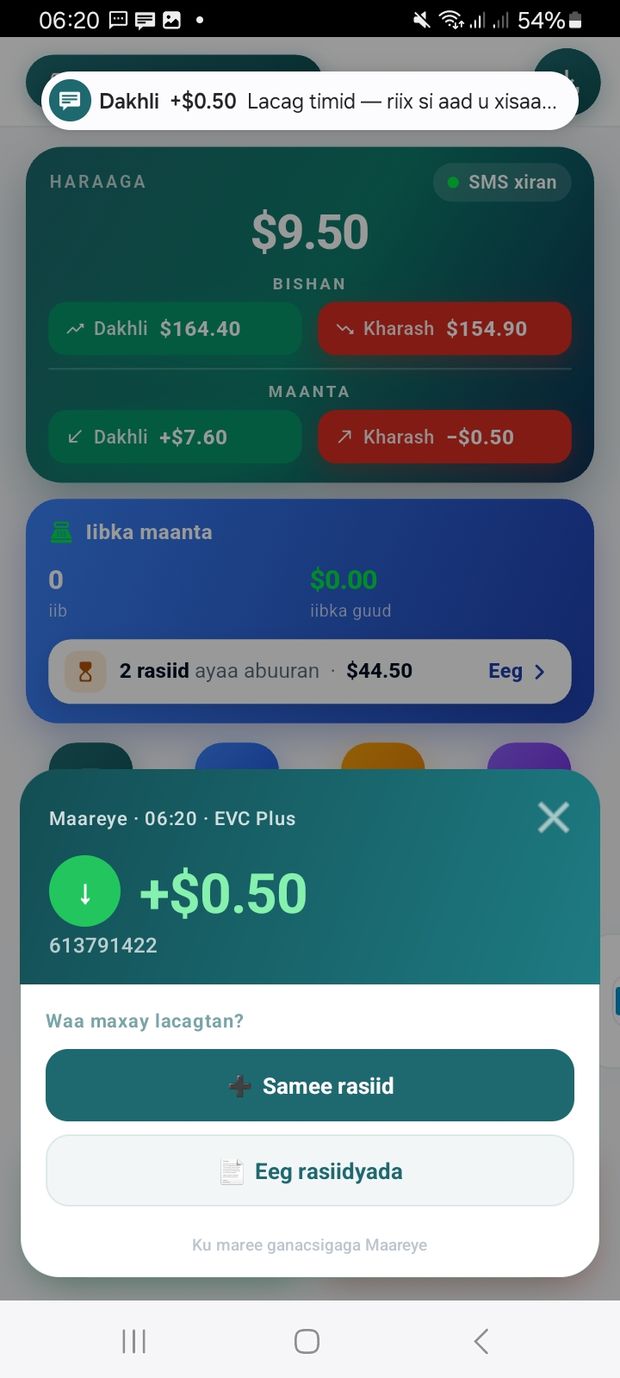 Kaadhka lacagta soo gashay